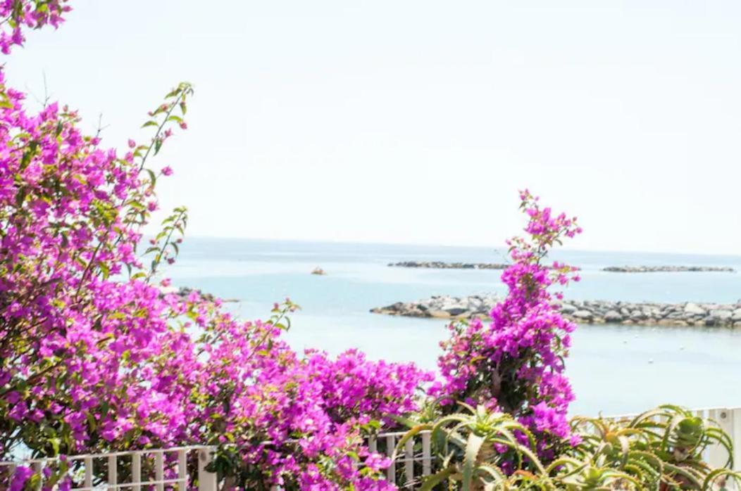 Rosa Centralissimo Sanremo Exterior photo